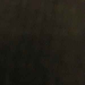 Meet your Posher, Bailey